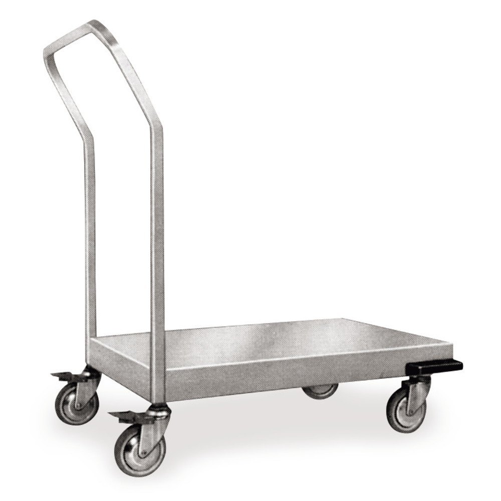 Stainless Steel Platform Trolly 2
